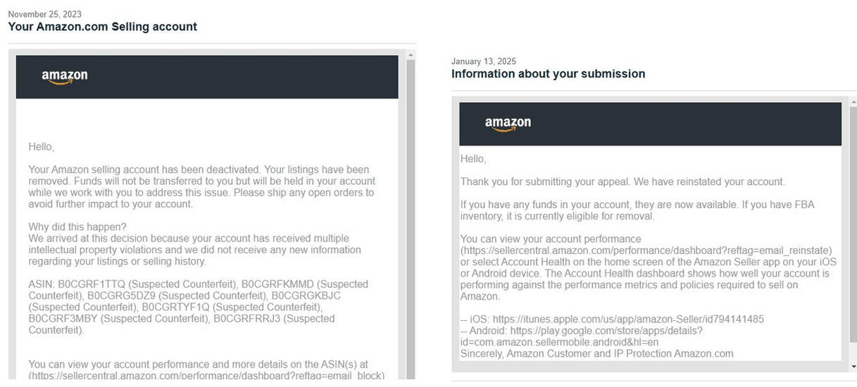Amazon Seller Reinstatement Success Story 11