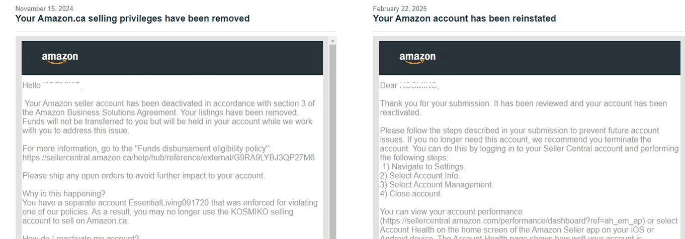 Amazon Seller Reinstatement Success Story 12