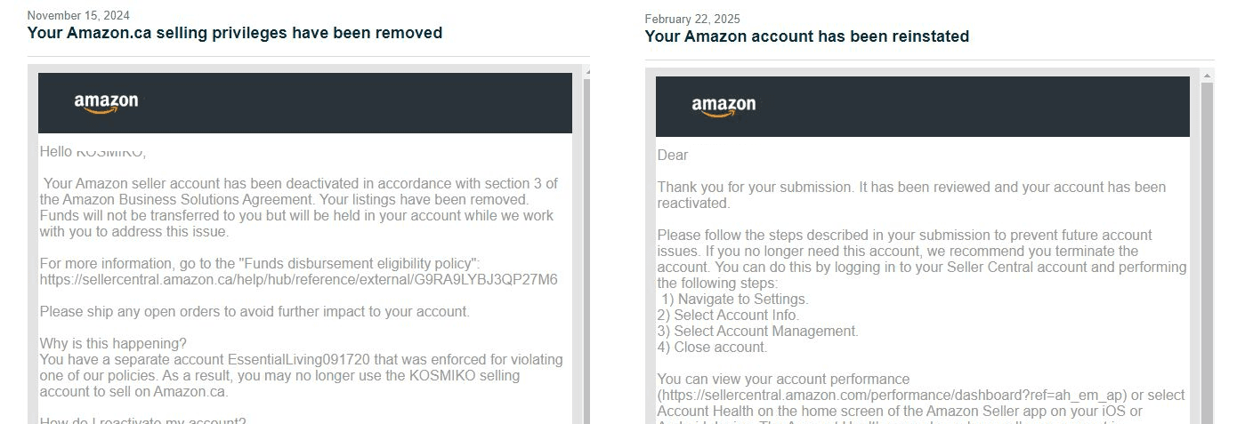 Amazon Seller Reinstatement Success Story 13