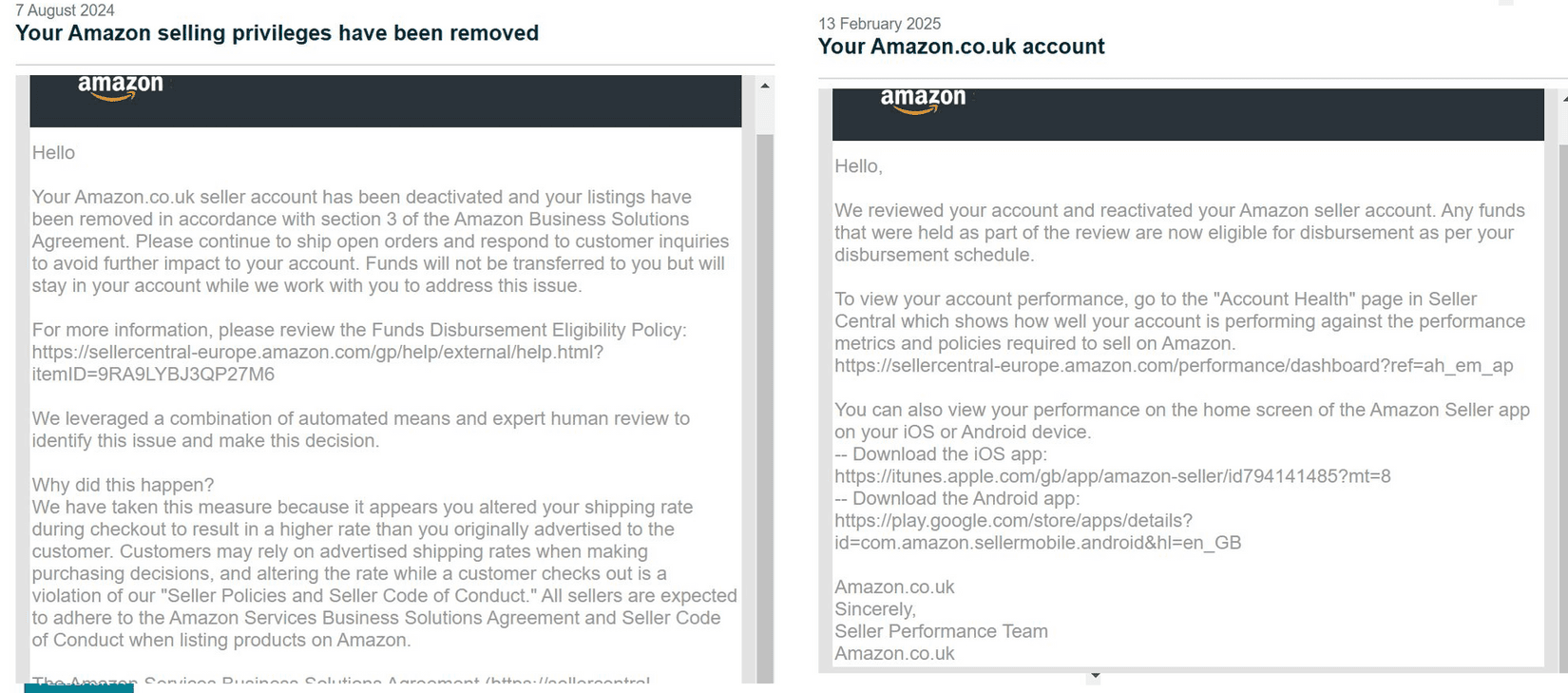 Amazon Seller Reinstatement Success Story 15