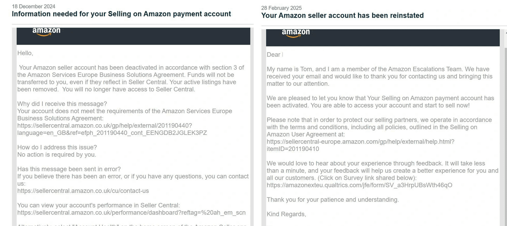 Amazon Seller Reinstatement Success Story 16