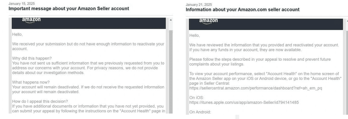 Amazon Seller Reinstatement Success Story 17