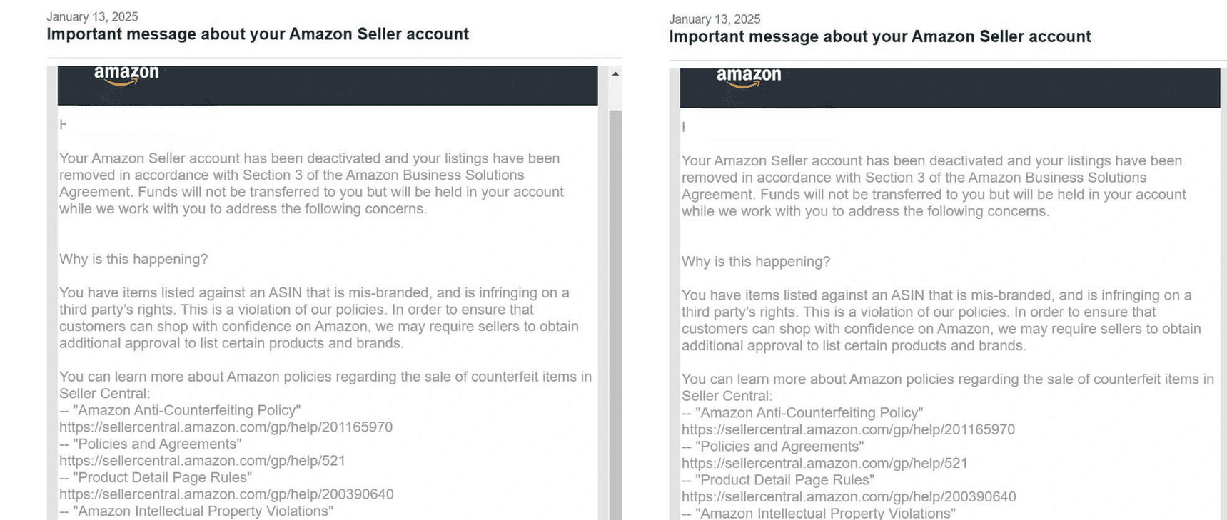 Amazon Seller Reinstatement Success Story 2