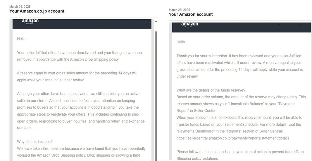 Amazon Seller Reinstatement Success Story 21