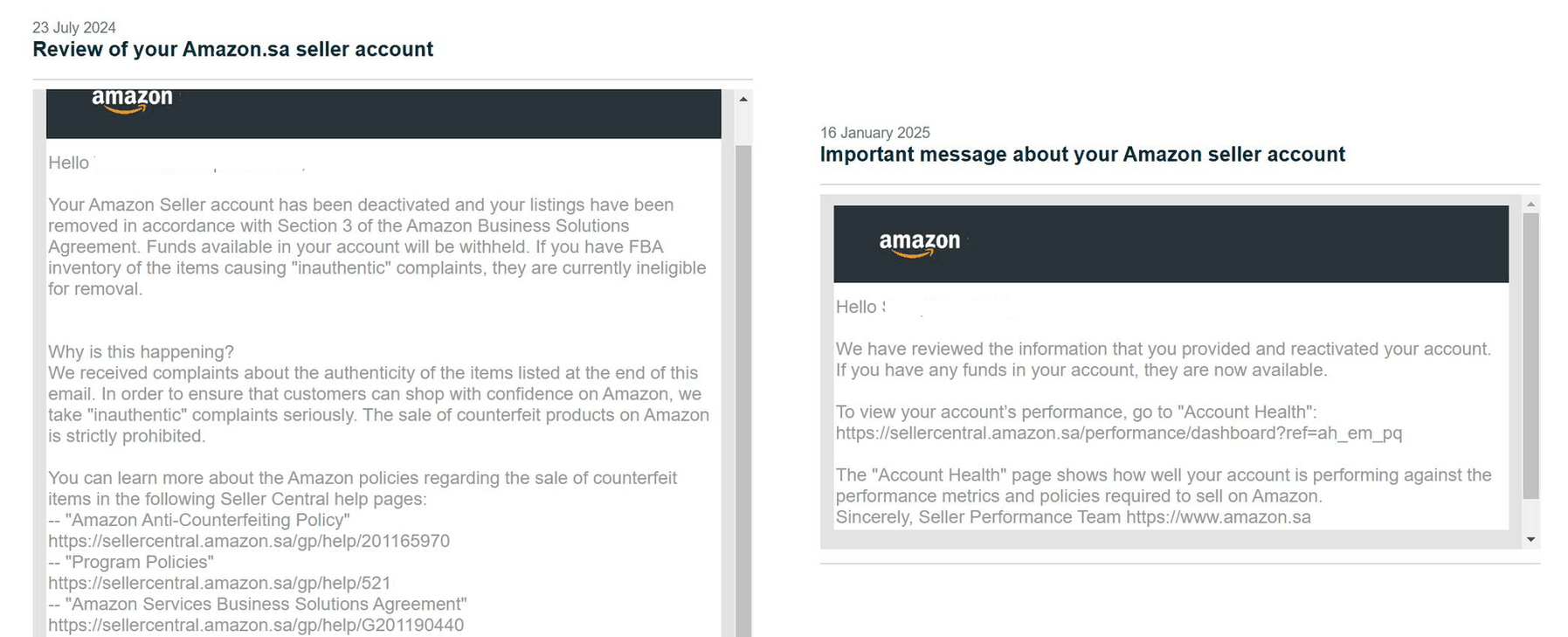 Amazon Seller Reinstatement Success Story 6
