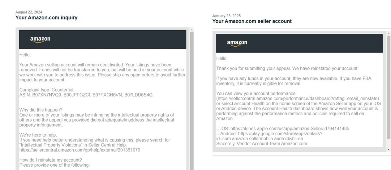 Amazon Seller Reinstatement Success Story 7