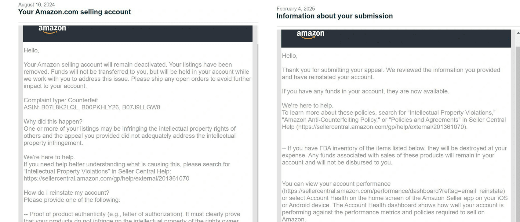 Amazon Seller Reinstatement Success Story 8