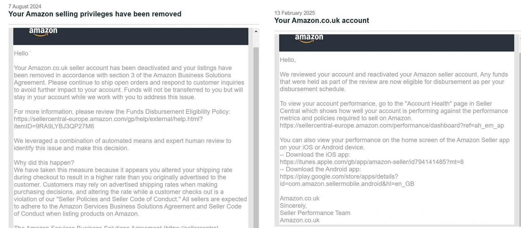 Amazon Seller Reinstatement Success Story 9